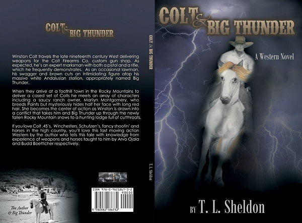 The 21st Century American Patriot - a novel by T. L. Sheldon